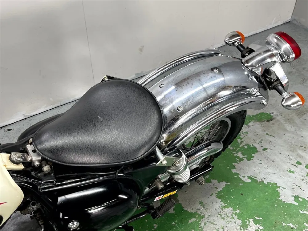 Kawasaki Estrella RS 2000, фото 2