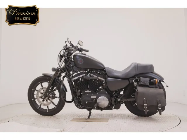 Harley-Davidson XL883N 2020, matt black, фото 2