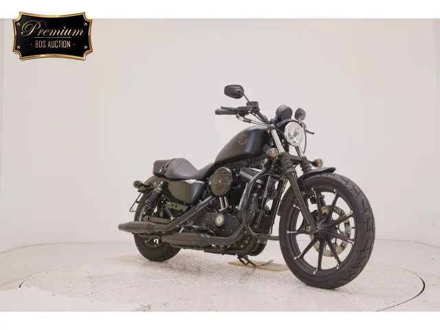 Harley-Davidson XL883N 2020, matt black, фото 3
