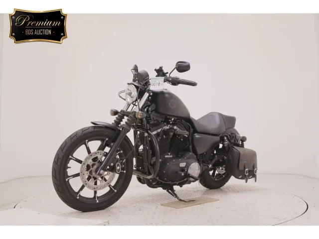 Harley-Davidson XL883N 2020, matt black, фото 4