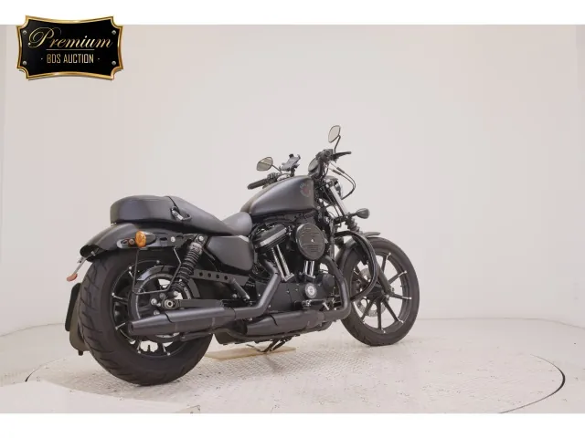 Harley-Davidson XL883N 2020, matt black, фото 5