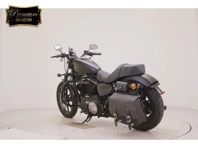 Harley-Davidson XL883N 2020, matt black, фото 6