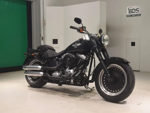 Harley-Davidson FLSTFB1580 2010, чёрный, фото 3