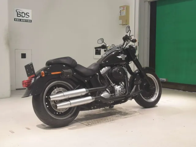Harley-Davidson FLSTFB1580 2010, чёрный, фото 5