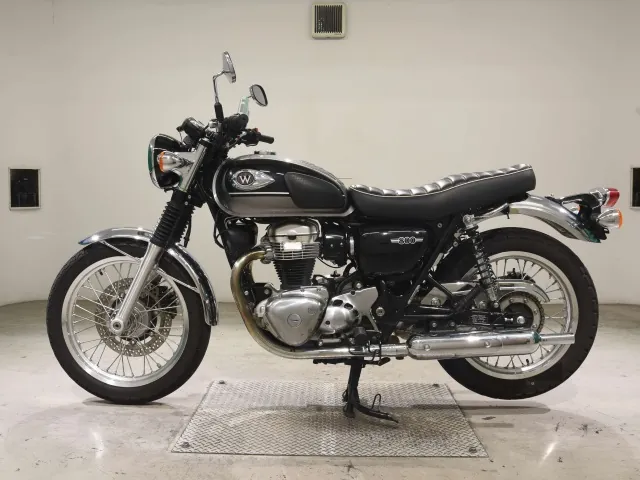Kawasaki W800-2 2024, серый, фото 2