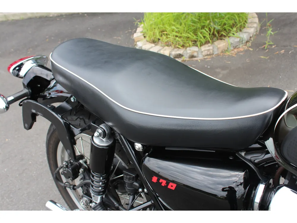 Kawasaki W800-2 2023, чёрный, фото 18