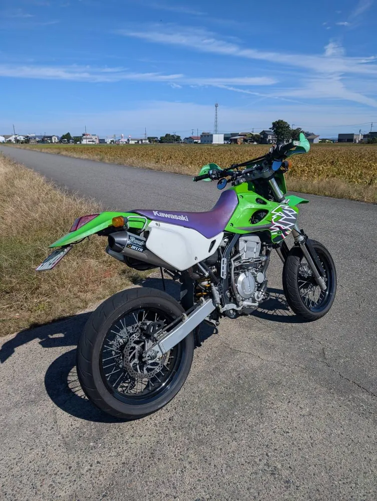 Kawasaki KLX250 1999, фото 2