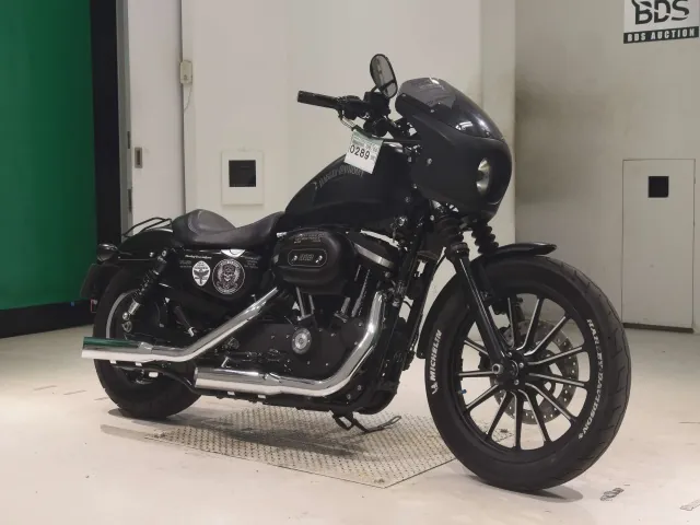 Harley-Davidson XL883N 2014, matt black, фото 3