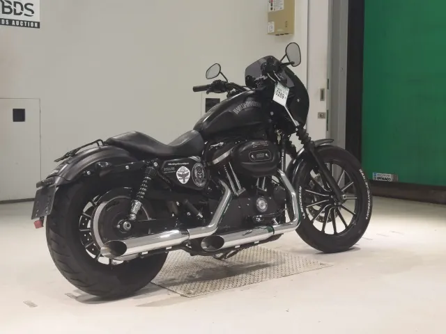 Harley-Davidson XL883N 2014, matt black, фото 5