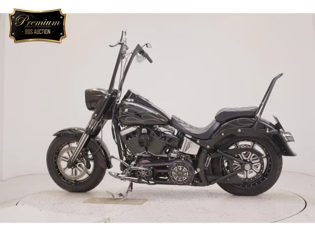 Harley-Davidson FLSTF1580 2007, чёрный, фото 2