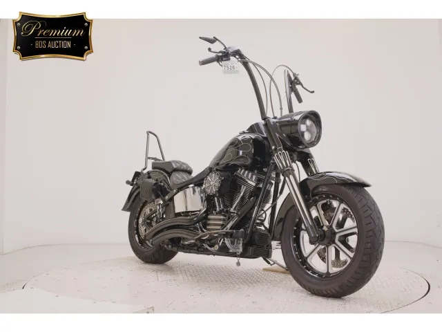 Harley-Davidson FLSTF1580 2007, чёрный, фото 3