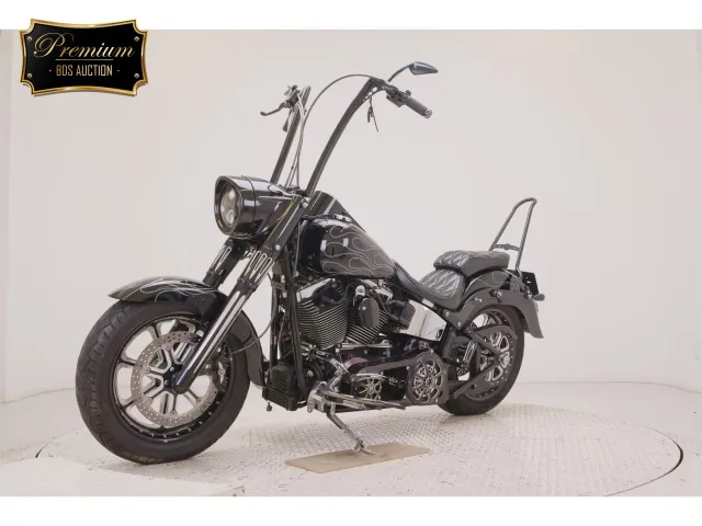 Harley-Davidson FLSTF1580 2007, чёрный, фото 4