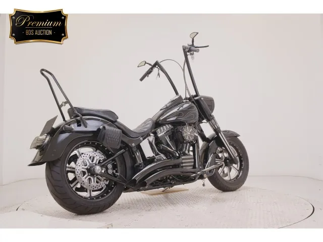 Harley-Davidson FLSTF1580 2007, чёрный, фото 5