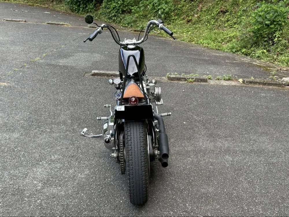 Harley-Davidson FLSTS 1997, фото 6