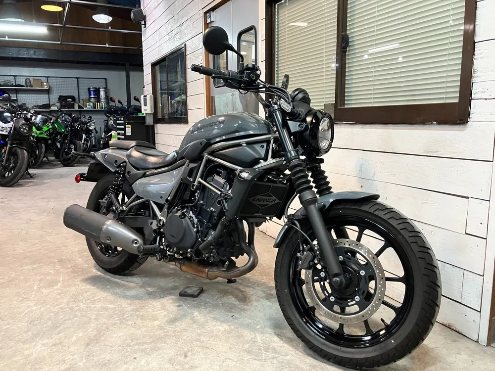 Kawasaki Eliminator 400SE 2024, серый, фото 7