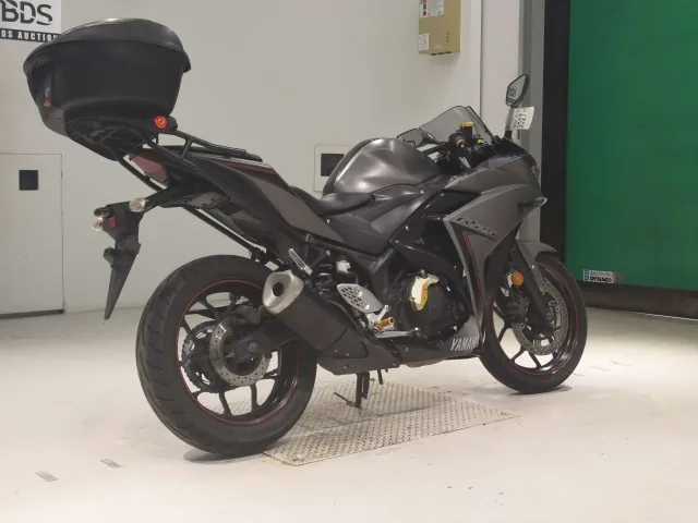 Yamaha YZF-R25, matt gun, фото 5