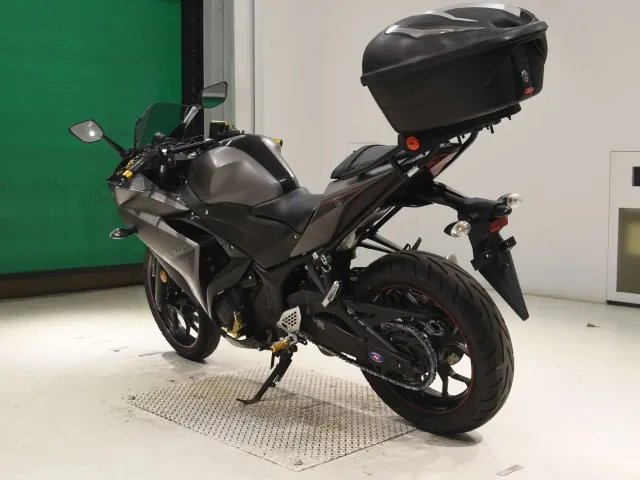 Yamaha YZF-R25, matt gun, фото 6