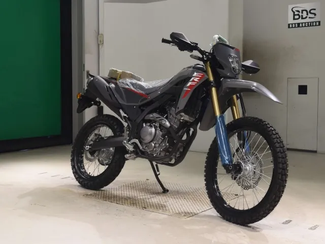 Honda CRF250 Rally, чёрный, серый, фото 3