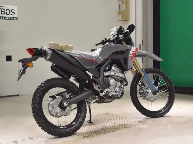 Honda CRF250 Rally, чёрный, серый, фото 5