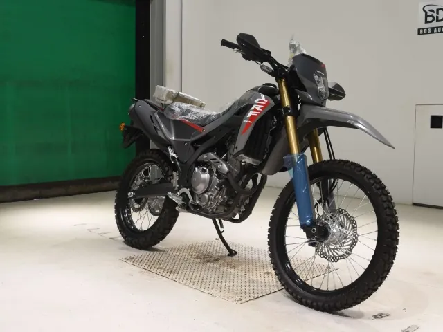 Honda CRF250 Rally, серый, фото 3
