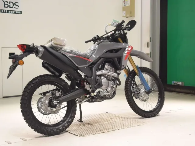 Honda CRF250 Rally, серый, фото 5