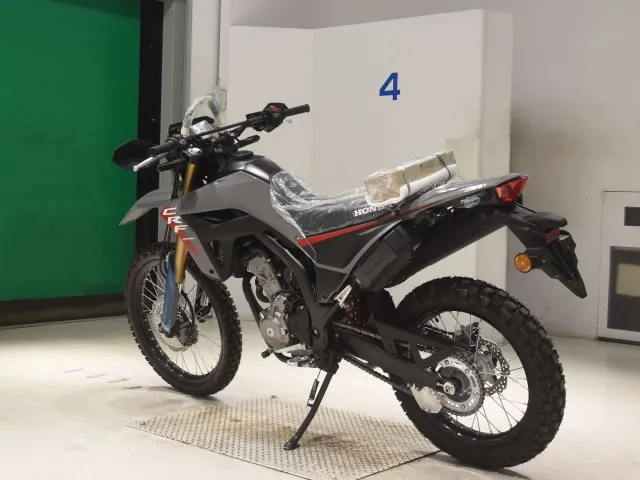 Honda CRF250 Rally, серый, фото 6