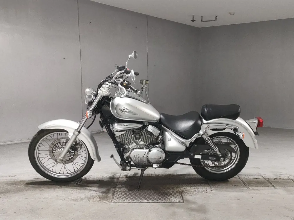 Suzuki ST250, серебристый, фото 2