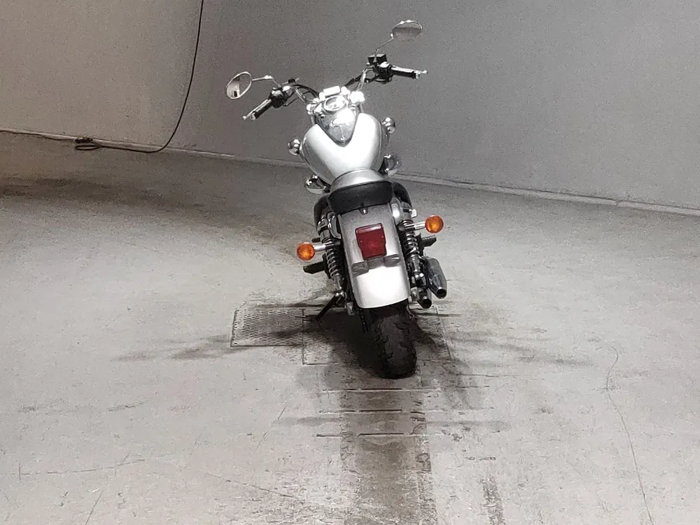 Suzuki ST250, серебристый, фото 4
