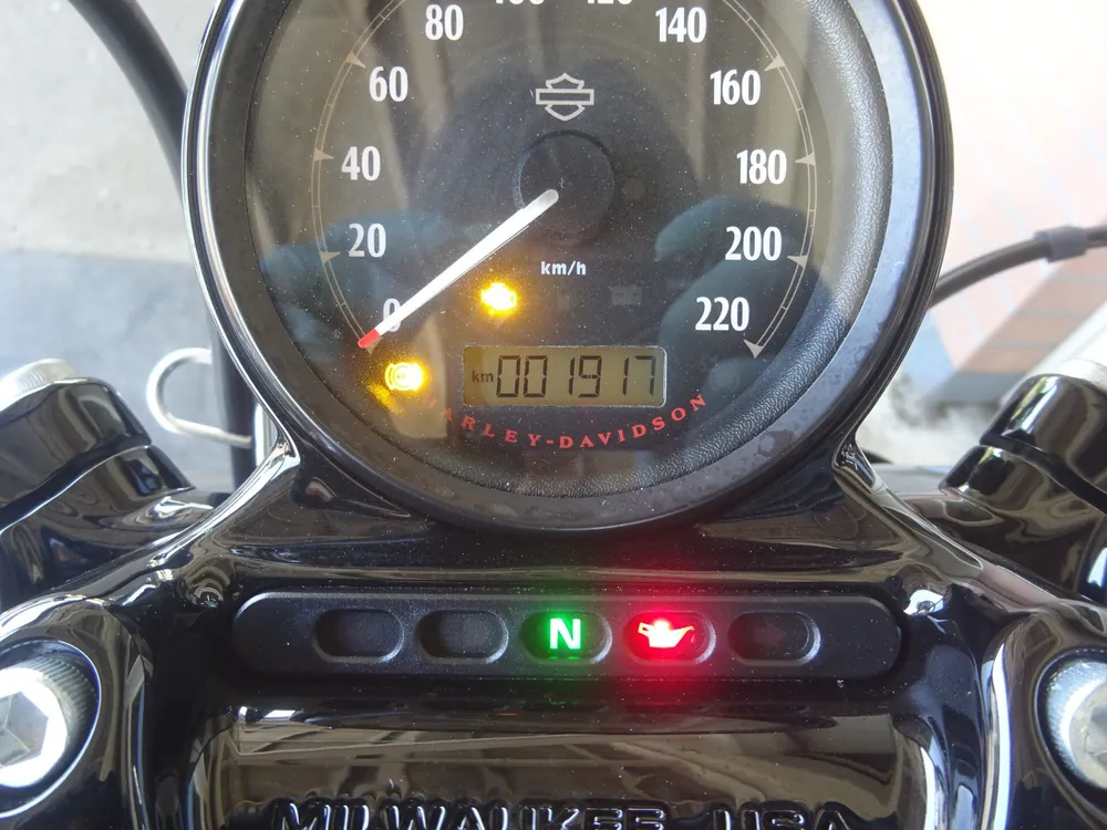 Harley-Davidson XL1200X 2022, blue / black, фото 2