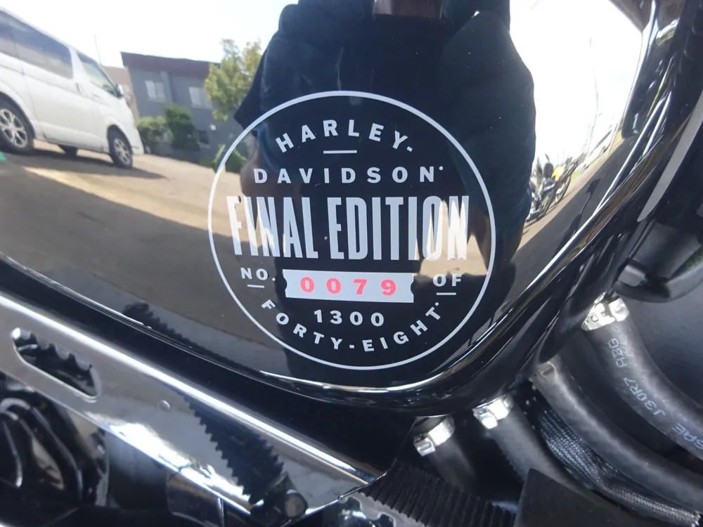 Harley-Davidson XL1200X 2022, blue / black, фото 10