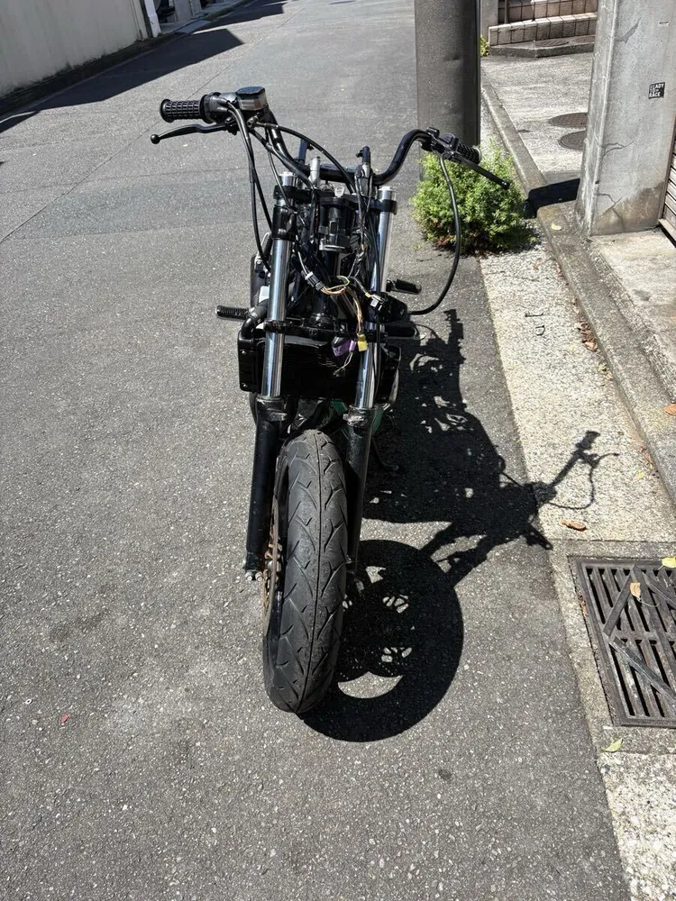Suzuki GSX250S Katana 1991, фото 5