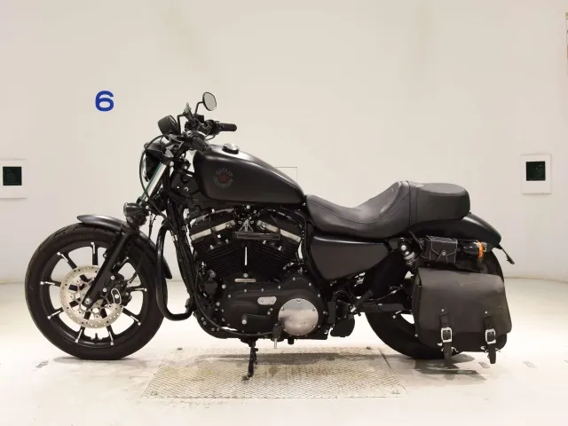 Harley-Davidson XL883N 2020, matt black, фото 2