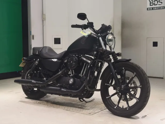 Harley-Davidson XL883N 2020, matt black, фото 3