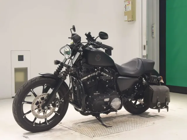 Harley-Davidson XL883N 2020, matt black, фото 4