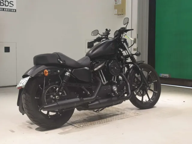 Harley-Davidson XL883N 2020, matt black, фото 5