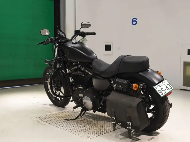Harley-Davidson XL883N 2020, matt black, фото 6