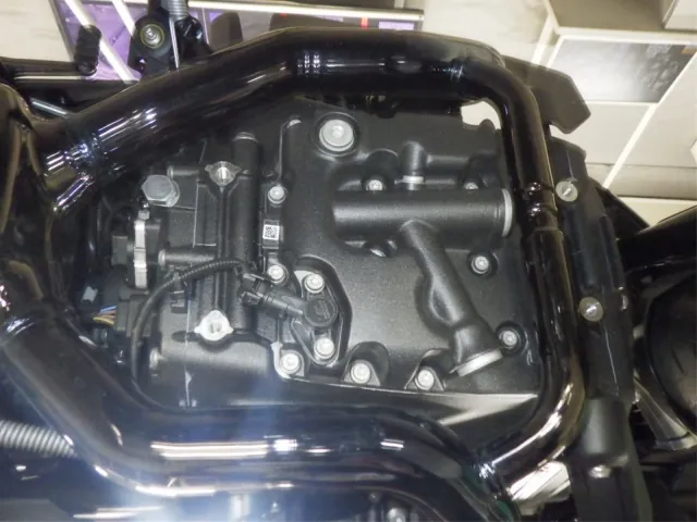BMW R1300RT ASA 2026, чёрный, фото 7