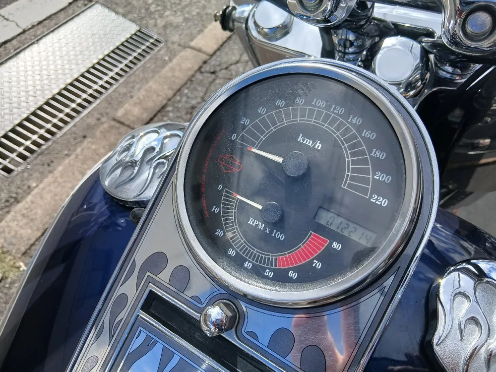 Harley-Davidson Softail Deluxe из Японии, фото 8