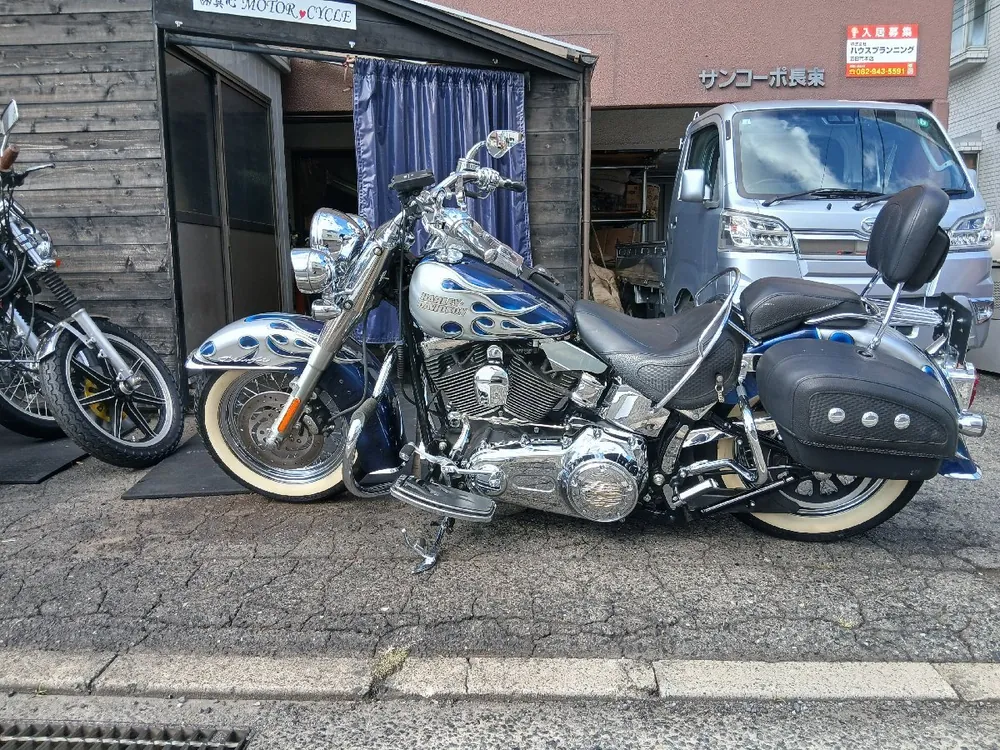 Harley-Davidson Softail Deluxe из Японии, фото 9