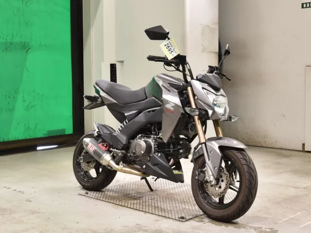 Kawasaki Z125 PRO, серый, фото 3