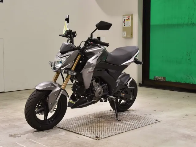 Kawasaki Z125 PRO, серый, фото 4