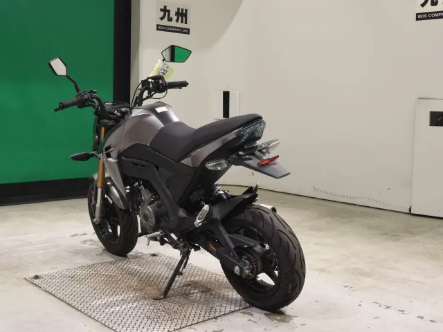 Kawasaki Z125 PRO, серый, фото 6