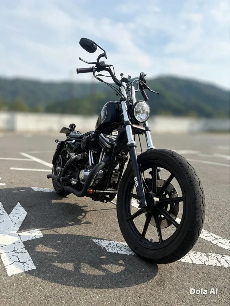 Harley-Davidson XLH1200 из Японии, фото 5