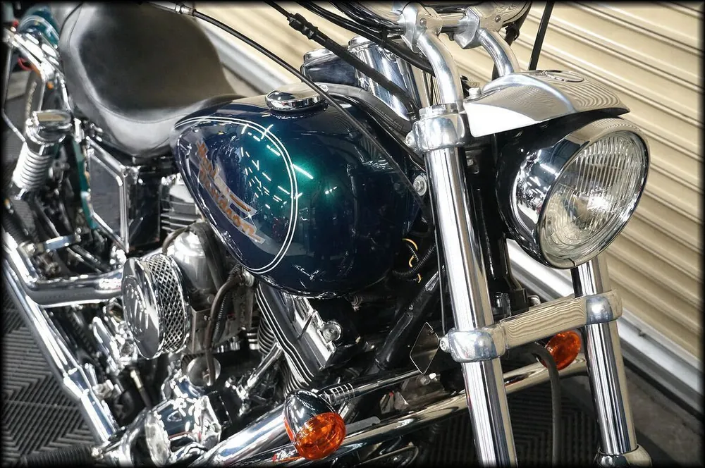 Harley-Davidson FXDL 2002, фото 5