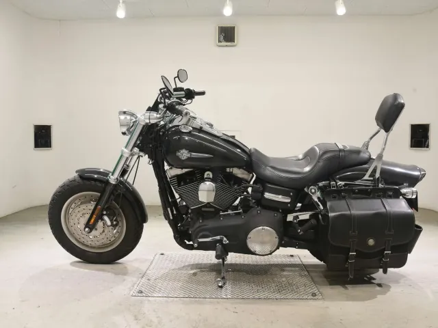 Harley-Davidson FXDF1580 2008, gunmetal, фото 2