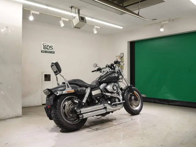 Harley-Davidson FXDF1580 2008, gunmetal, фото 5