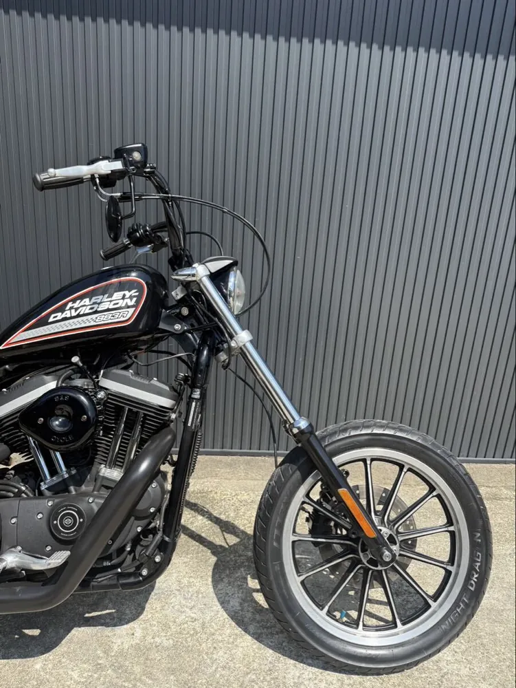 Harley-Davidson XL883R 2006, фото 7