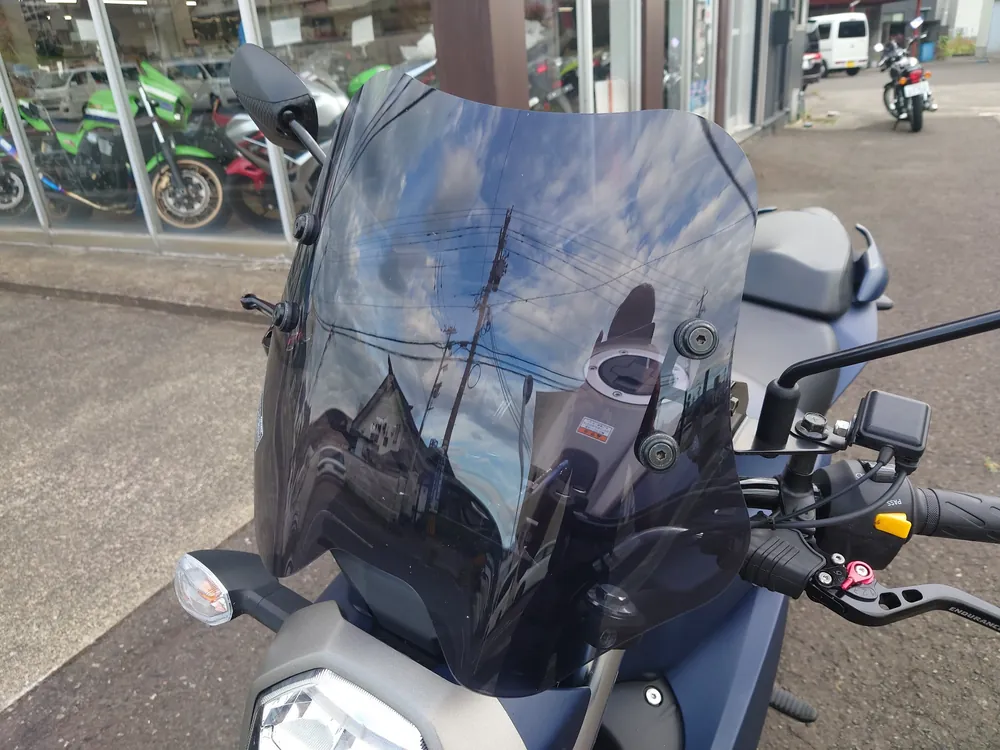 Kawasaki Estrella, navy blue, фото 20