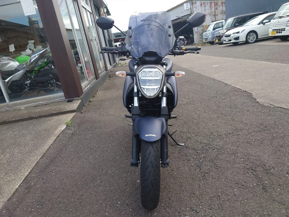 Kawasaki Estrella, navy blue, фото 3