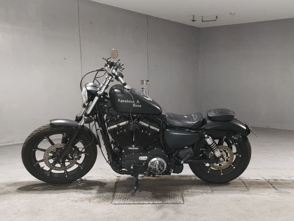 Harley-Davidson XL883N 2018, чёрный, фото 2